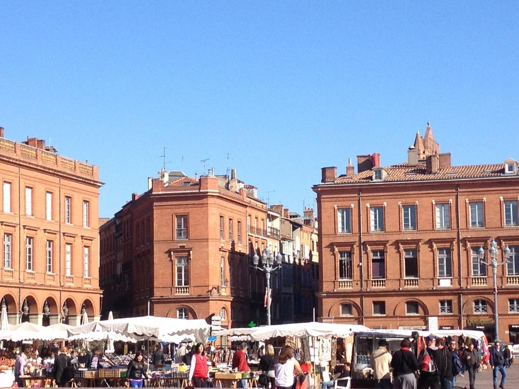 Les Platanes Apartment Toulouse Cameră foto